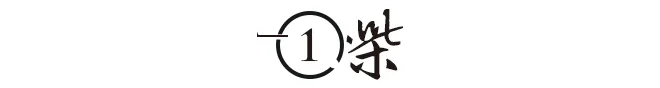 博鱼电竞-干翻37年国际垄断！从修车学徒到世界冠军，张雪的人生比爽文还燃