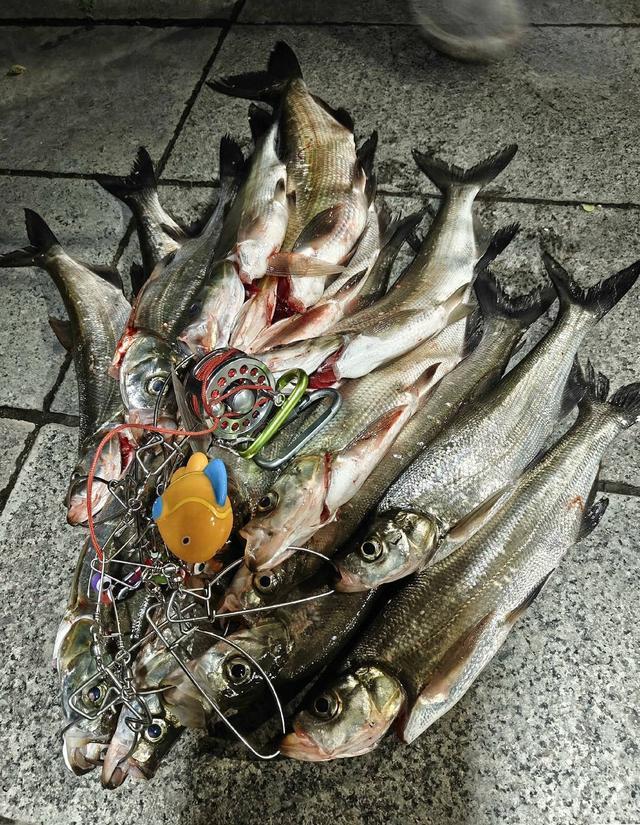 博鱼电竞平台-生态治理还是高价钓鱼?西昌邛海4000元钓鱼年卡引质疑 律师:如此收费无法律依据
