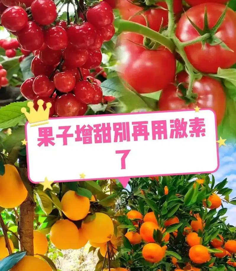 博鱼中国官网-网红水果黑幕曝光!全是添加剂泡的,很多人天天买给孩子吃